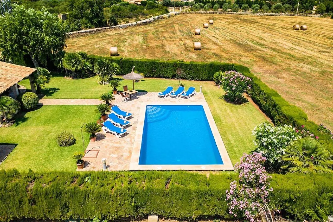 Bosque Villa Pollença
